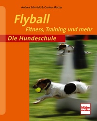 Flyball   - Fitness, Training und mehr