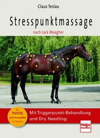 Stresspunktmassage nach Jack Meagher - Mit Triggerpunkt-Behandlung und Dry Needling